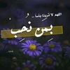 amamer58