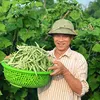 Nông Sản Minh Bí Thư
