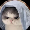 linhcutehotme68