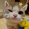 bundaaumamtommm