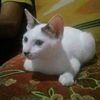 sri_wahyuni11111