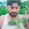 sajjadalisajjadal744