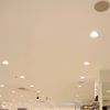 nesha_600