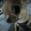 leratoooo13