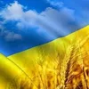iuriiiurii42