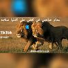 user78795858600187