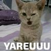 itsmeslayerr7