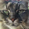 mxgxnn_22