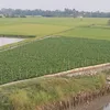 c.n95780