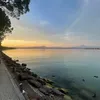 linnea_olback0