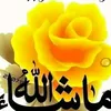 user9088722559333