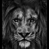 black.man.1