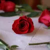 fafihafi92