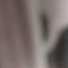 www.user.clm