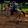 all_country77