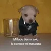 santiagococafuent