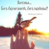 user17197344613500