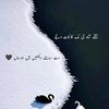 xyedtayyab512