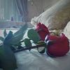 user3113416813044