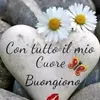 vera_vera310