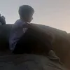 alizaid2013