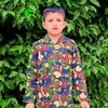 hasnan9488gmail.co