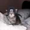 otmanakl