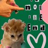 _littletatertot