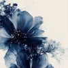 hh_966h5