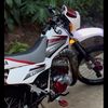 julio.voltio529
