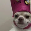 parapr0ud_
