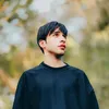hamwdi_100