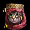 gatitosports