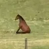 darkpersonality77