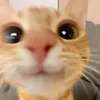 nvrmndbby17