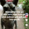 nothiing99_