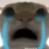 khongcoten2736
