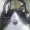 ccaseyv
