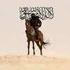 sarfaraz.mahsn
