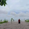 user1905483529815_icha82