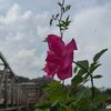 khin.ma.ma28