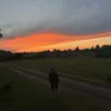 tjnuyfc