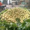 sher.uthane.ke