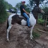 robsonmarcos
