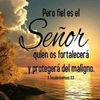 israel_bendecid