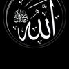 user5335018179969