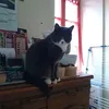 stphanettard
