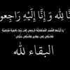mustafa.barboshi