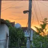 tchan221