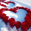 farhana.ajmal